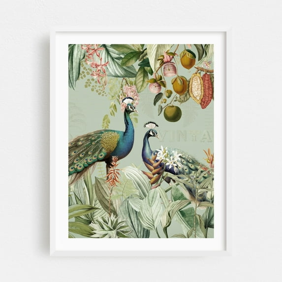 Exotic Peacocks in Paradise 1 - Illustration Botanical Vintage Floral Tropical Wildlife White Framed Wall Art Print 5 x 7 inches