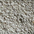 thumbnail image 1 of Exotic Pebbles & Aggregates 245410 20 lbs Exotic Bean Pebbles, White, 1 of 1