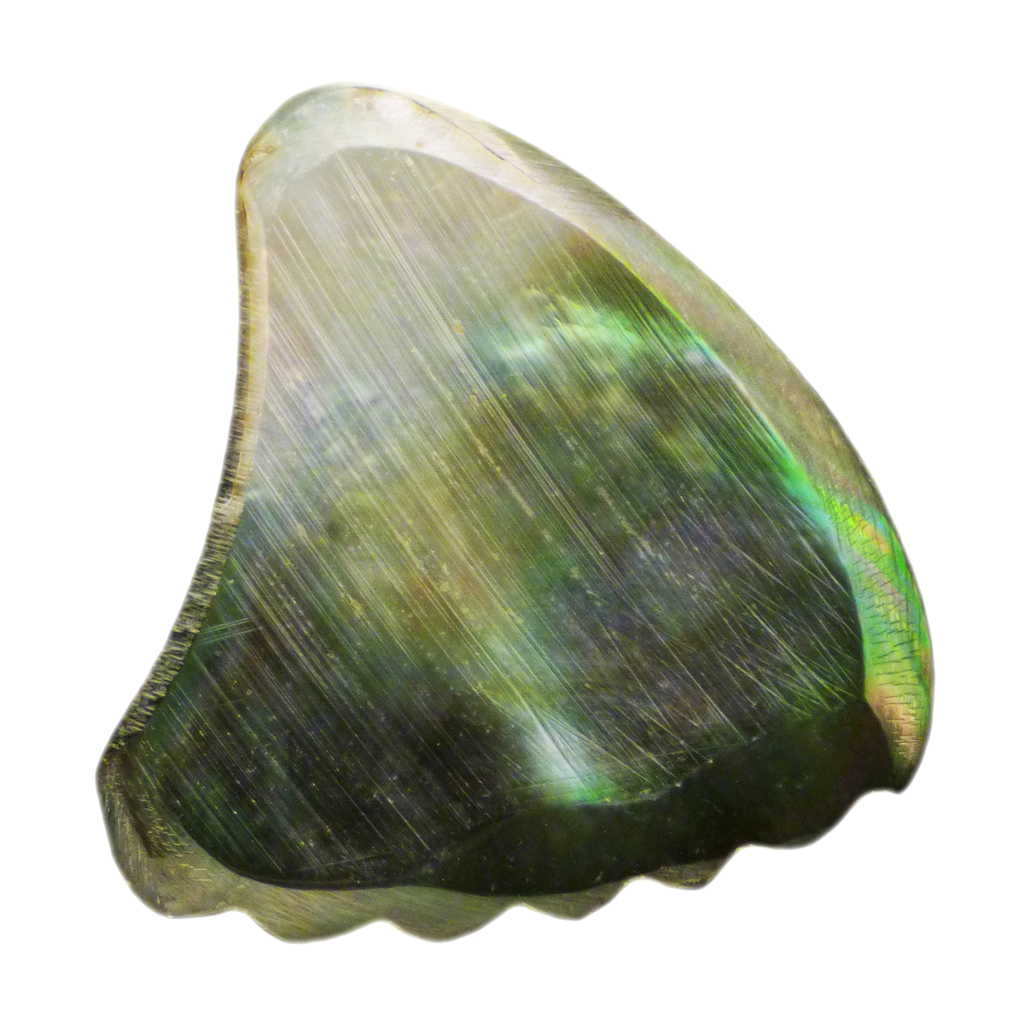 Shell Plectuim Exotic Plectrums - Black Abalone Shell Guitar Or Bass Pick - 2.0 mm ...