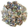 thumbnail image 1 of Exotic Plectrums - Celluloid Abalone Guitar Or Bass Pick - 0.96 mm Heavy Gauge - 351 Shape - 100 Pack, 1 of 7