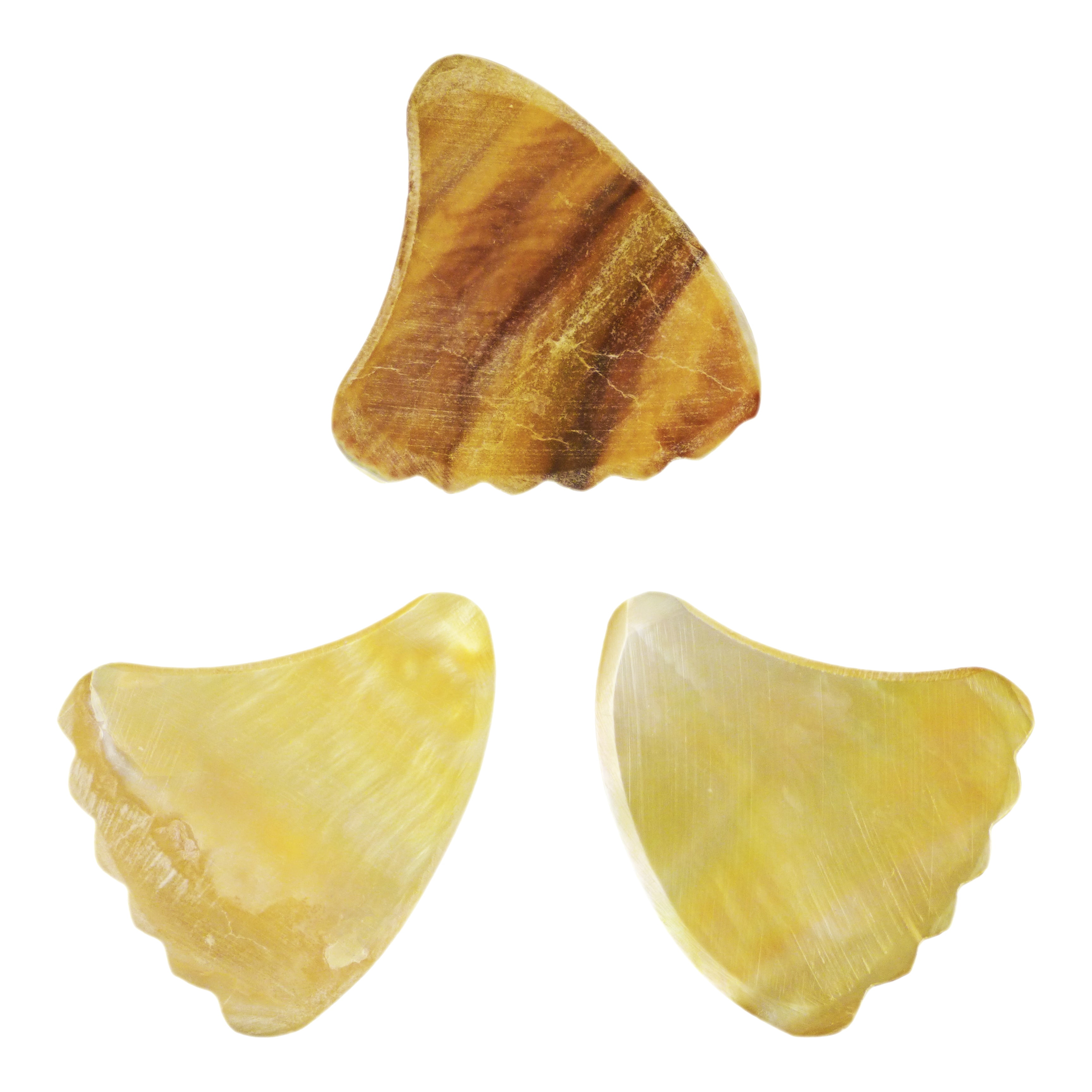 Shell Plectuim Exotic Plectrums - Gold Abalone Shell Guitar Or Bass Pick - 2.0 mm ...