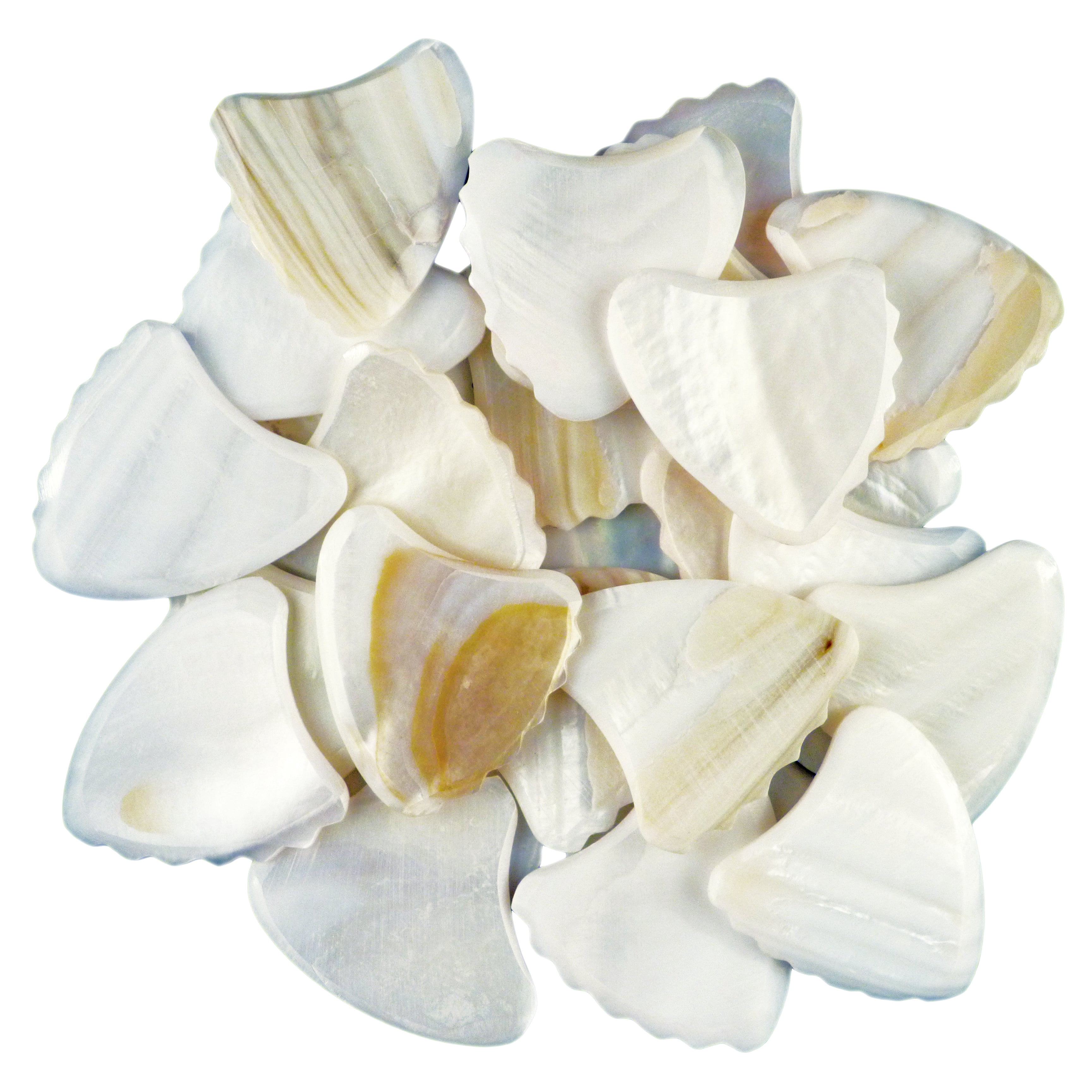 Shell Plectuim Exotic Plectrums - White Abalone Shell Guitar Or Bass Pick - 2.0 mm ...