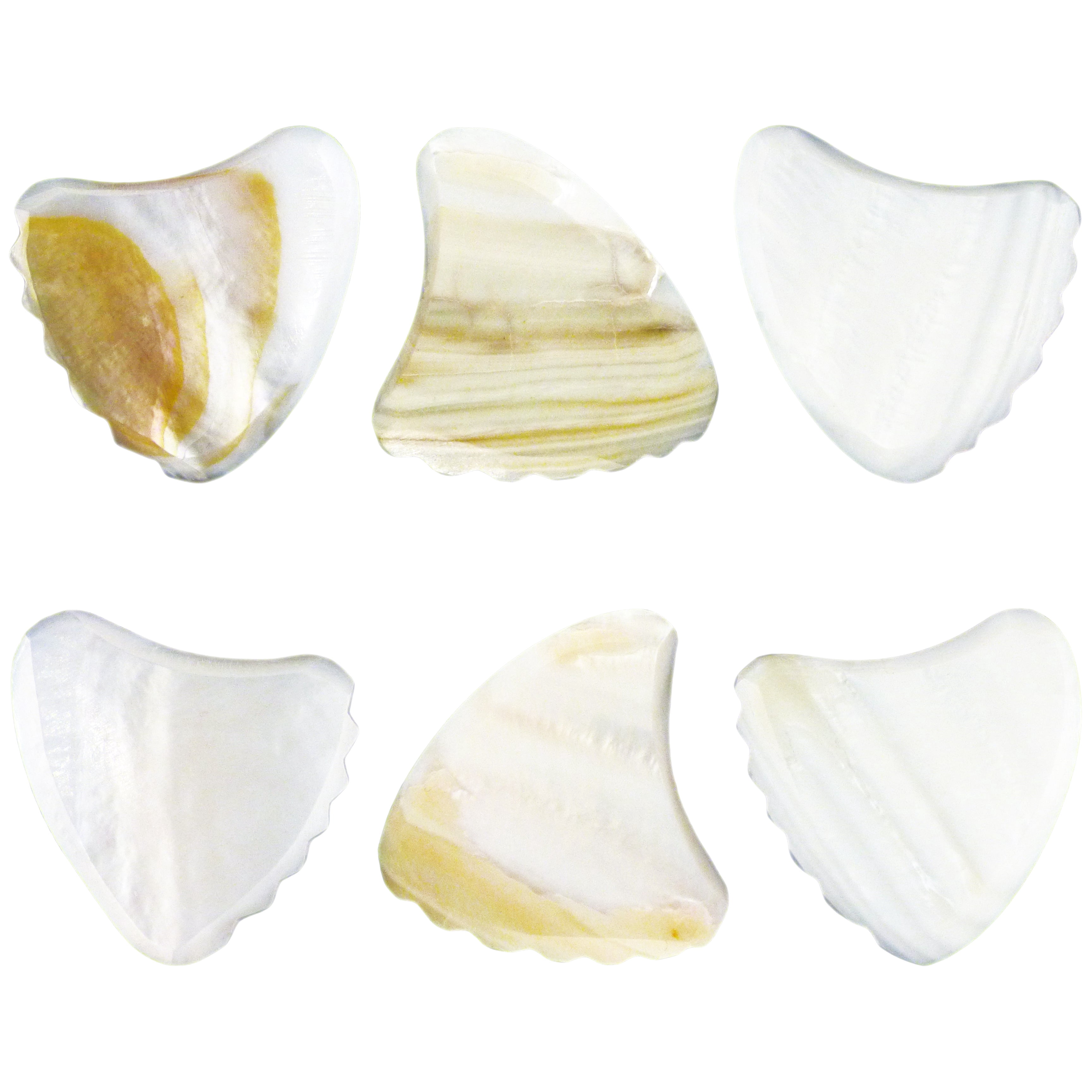 Shell Plectuim Exotic Plectrums - White Abalone Shell Guitar Or Bass Pick - 2.0 mm ...