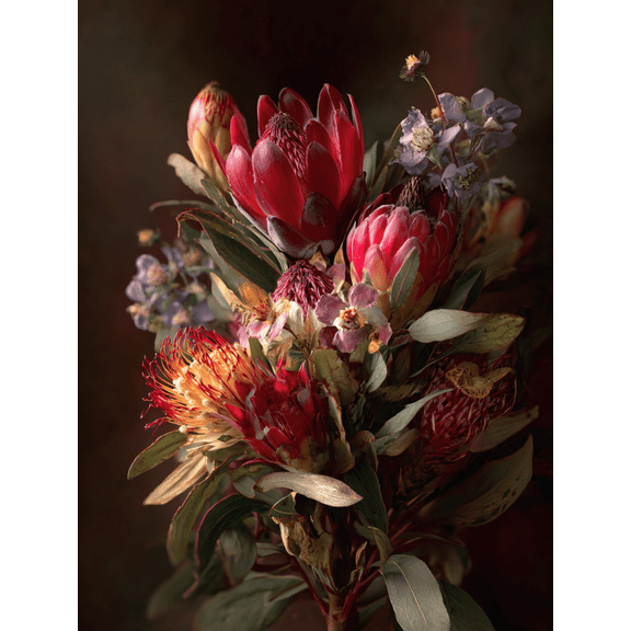 Exotic Protea Flower Canvas Print Wall Art for Living Room Bedroom Hotel Lobby Entryway