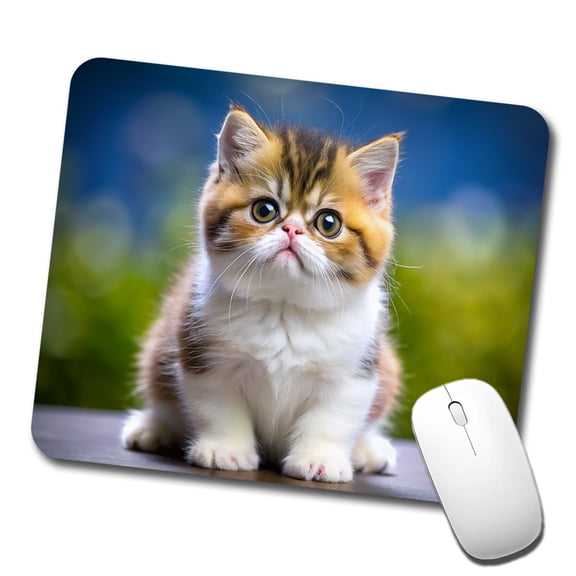 Exotic Shorthair Cat Kitten Photo Mouse Pad Low Profile Gaming Mat