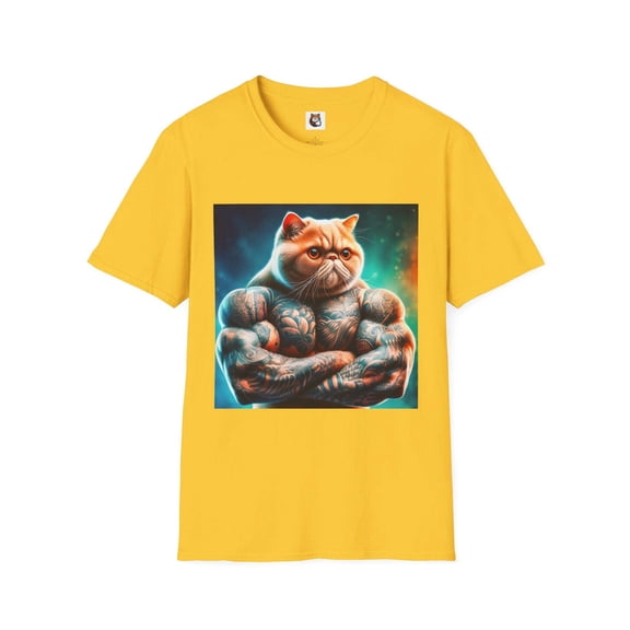 Exotic Shorthair Cat