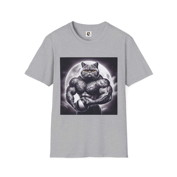 Exotic Shorthair Cat