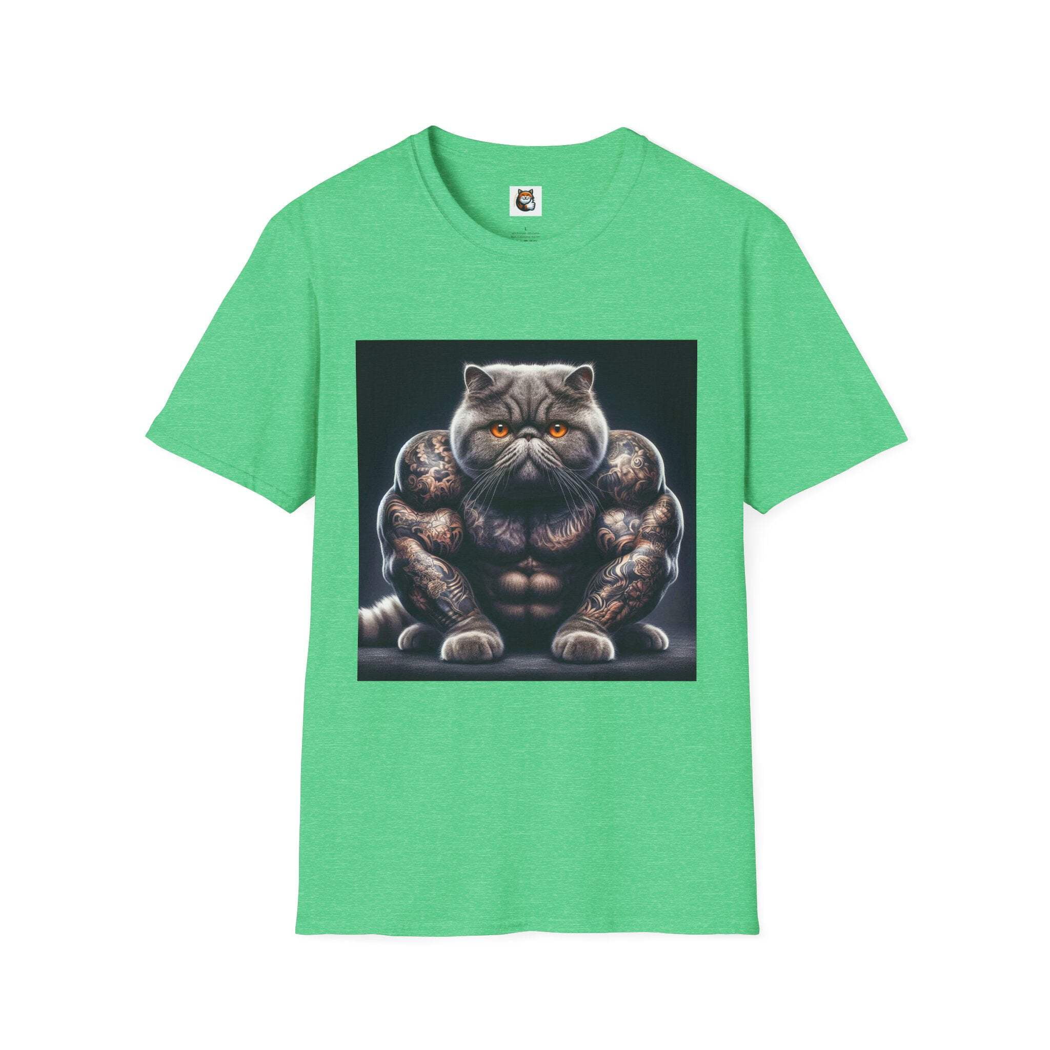 Exotic Shorthair Cat