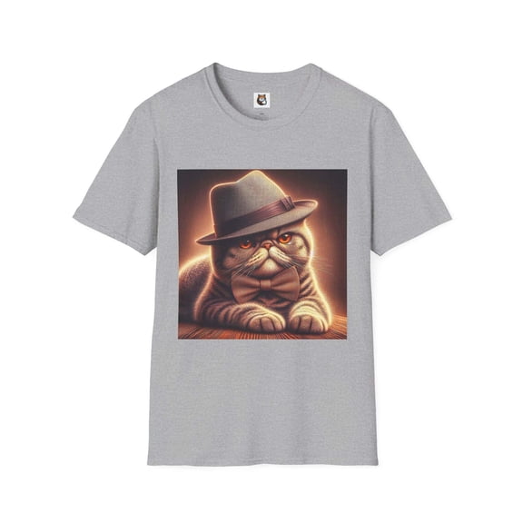 Exotic Shorthair Cat