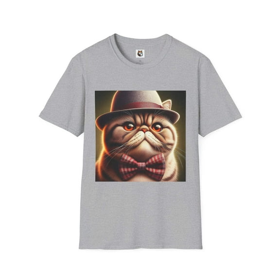 Exotic Shorthair Cat