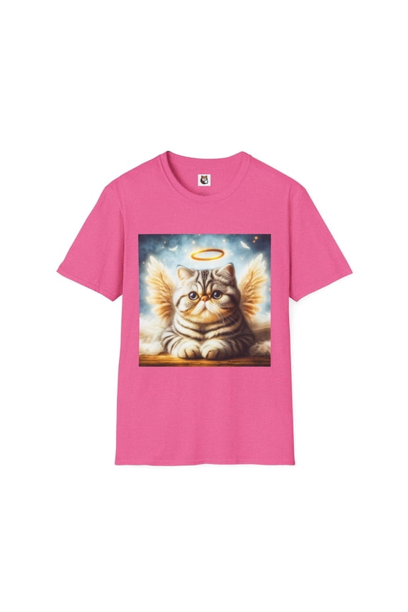 Exotic Shorthair Cat