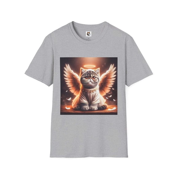 Exotic Shorthair Cat