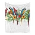 thumbnail image 1 of Exotic Soft Flannel Fleece Blanket, Tropical Parrot Birds Sitting on Tree Branches Along Hibiscus Blooms Rainforest Palm, Cozy Plush for Indoor and Outdoor Use, 60" x 80", Multicolor, by Ambesonne, 1 of 5