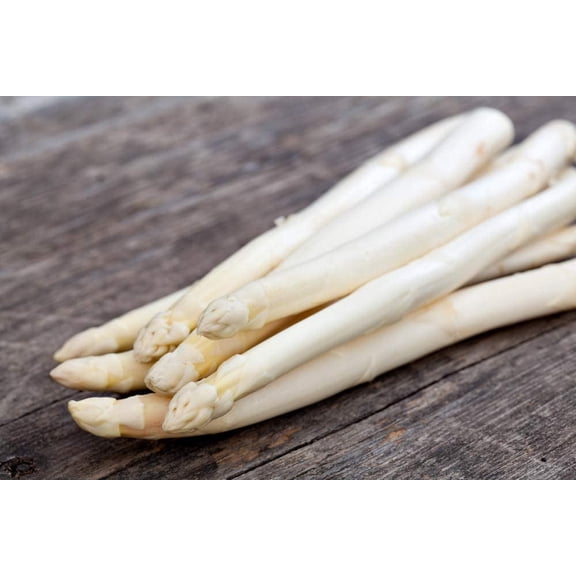 Exotic White Asparagus Seeds for Planting - 100+ Seeds - Rare Garden Vegetable Seeds