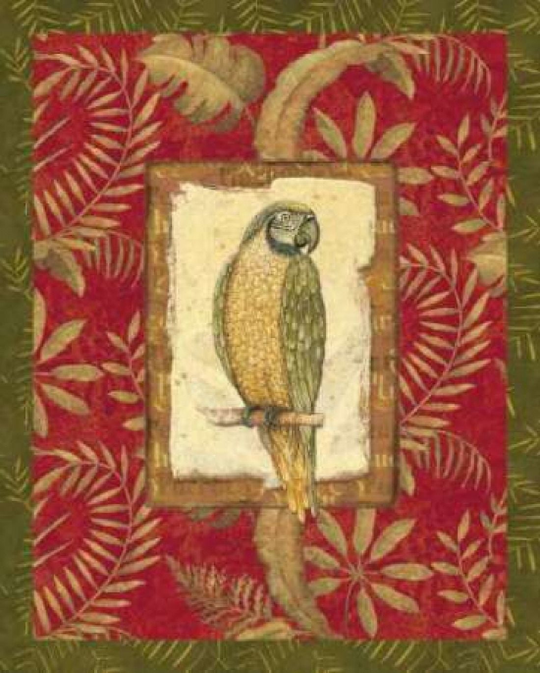 Exotica Parrot Canvas Art - Charlene Audrey (20 x 24)
