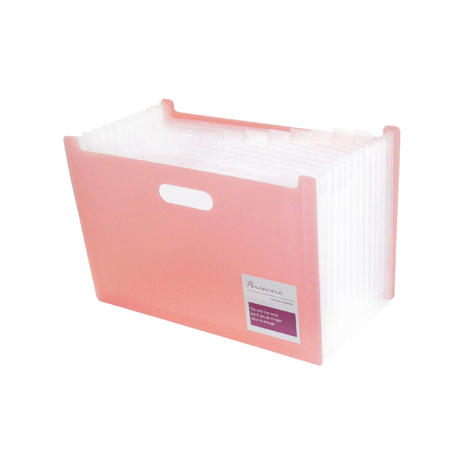 Expandable Accordion Folder A4 File Folder Document Organizer Max Portable Handles For School