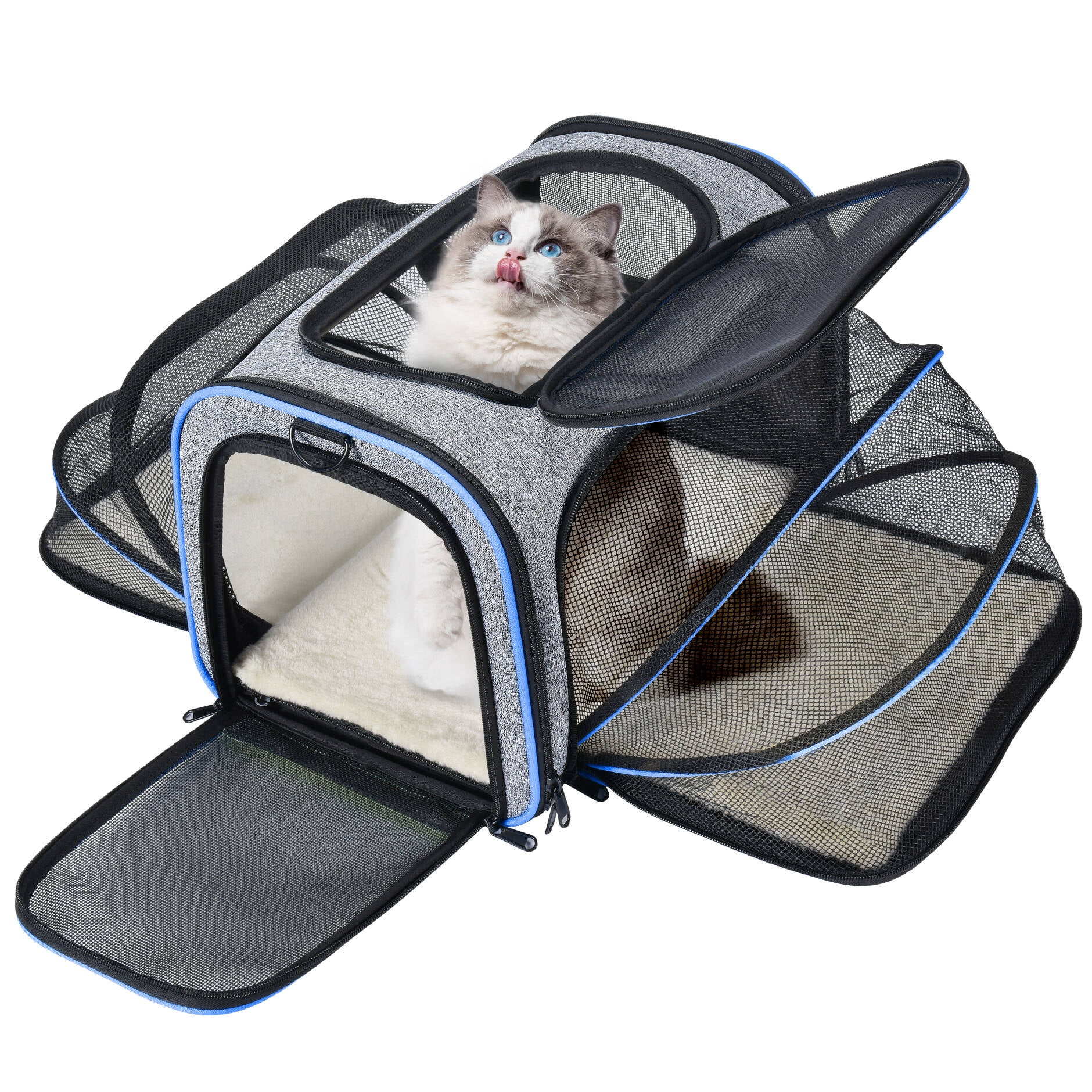Litake Airline Approved Pet Carrier,4 Sides Expandable Carrier Bag with  Fleece Pad,Portable Pet Travel Carrier Car Train Travel TSA Soft Sided  Collapsible Dog Carrier for 2 Cats 