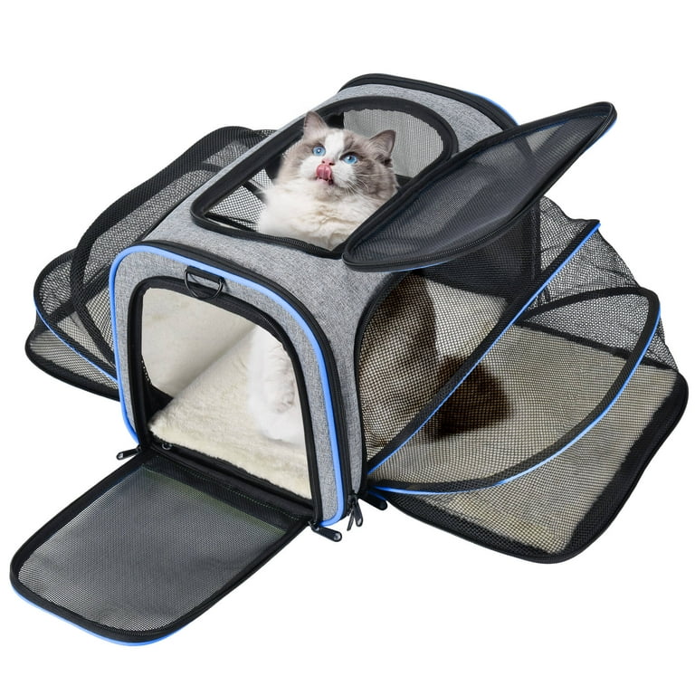 Minthouz Cat Carrier, Four-side Expandable Pet Carrier Airline Approved Dog  Carrier with Safty Leash and Shoulder Strap, Collapsible Puppy Carrier with  Self-lock Zipper,Removable Fleece Pad and Pocket 