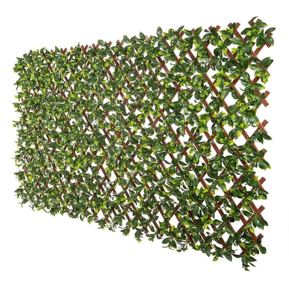 Designer Plants USA Expandable Jasmine Trellis Fence, 72" x 36", Green, UV Resistant