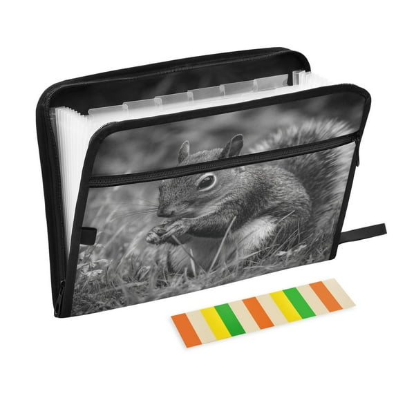 Expandable Folder with Colored Tabs, Desktop Folding Folder for Organizing Files by Category, with 13 Pockets, Suitable for Office Use Black and White Portrait
