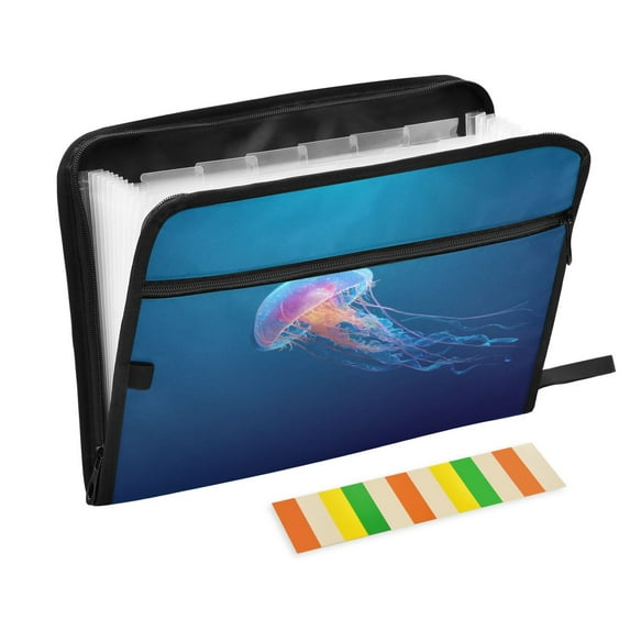 Expandable Folder with Colored Tabs, Desktop Folding Folder for Organizing Files by Category, with 13 Pockets, Suitable for Office Use Colorful Jellyfish