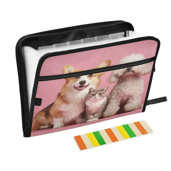 Expandable Folder with Colored Tabs, Desktop Folding Folder for Organizing Files by Category, with 13 Pockets, Suitable for Office Use Family Of Three