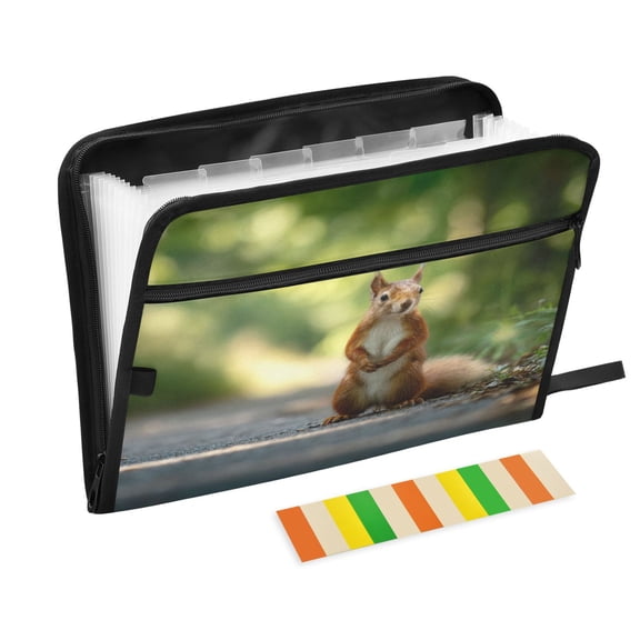 Expandable Folder with Colored Tabs, Desktop Folding Folder for Organizing Files by Category, with 13 Pockets, Suitable for Office Use Summer Squirrel
