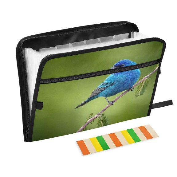 Expandable Folder with Colored Tabs, Desktop Folding Folder for Organizing Files by Category, with 13 Pockets, Suitable for Office Use Bluebird