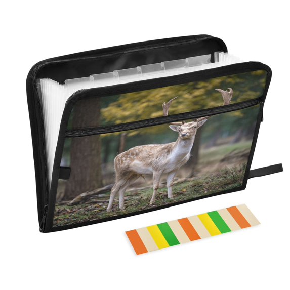 Expandable Folder with Colored Tabs, Desktop Folding Folder for Organizing Files by Category, with 13 Pockets, Suitable for Office Use Elk Forest