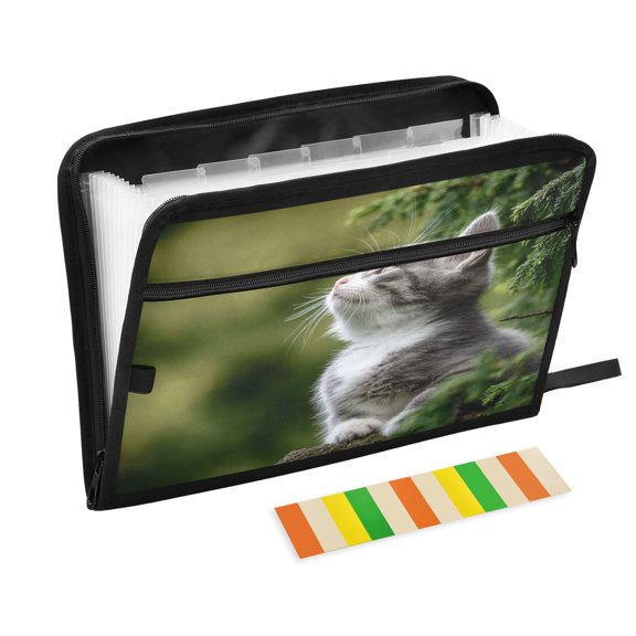 Expandable Folder with Colored Tabs, Desktop Folding Folder for Organizing Files by Category, with 13 Pockets, Suitable for Office Use Look Up