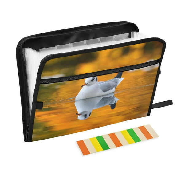 Expandable Folder with Colored Tabs, Desktop Folding Folder for Organizing Files by Category, with 13 Pockets, Suitable for Office Use Seagull
