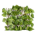 thumbnail image 1 of Expandable Lattice Fence, Artificial Ivy Trellis Privacy Hedge Backdrop Accordion Fencing , Balcony, Deck, and Backyard Decor - Perfect Lush Greener, 1 of 2
