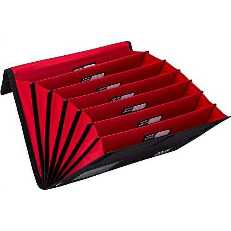 Professional 2024 file folder