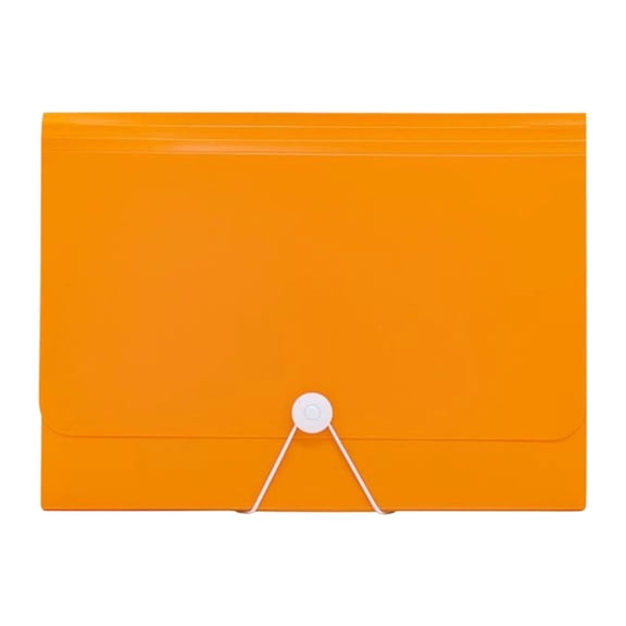 Expanding File Folder with Tabs, Accordion File Holder with Elastic Buckles Closure, Multi-Pocket Document Organizer, Letter Size, for Home office Office, 1 Drawstring 13-Compartment Accordion Bag