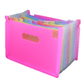 thumbnail image 1 of Expanding File Folder with Sticky Labels, File Organizer, Expandable Filing Folder, 1 of 5
