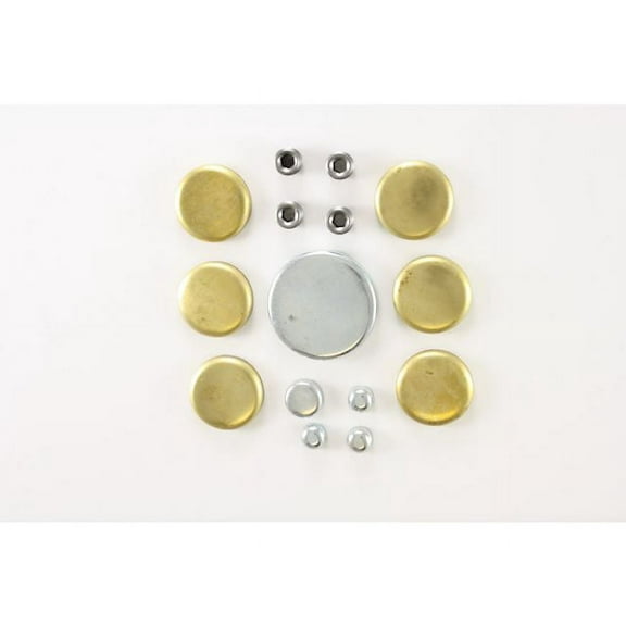 Expansion Plug Kit - Compatible with 1996 - 1997 Ford Explorer 5.0L V8