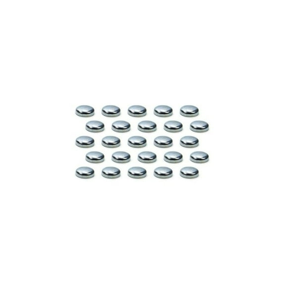 Pioneer Expansion Plugs - 1in 100pk