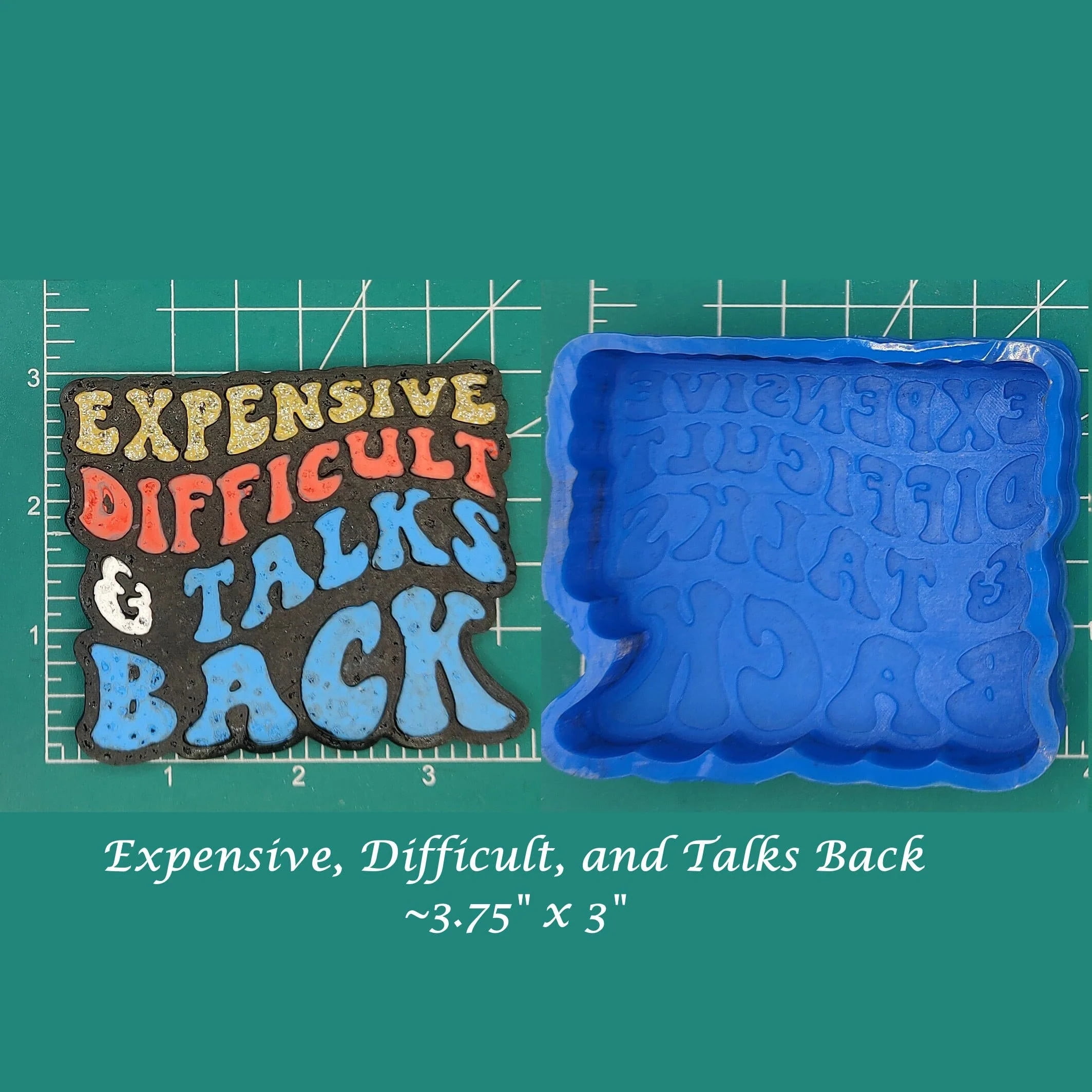 Expensive, Difficult, and Talks Back Silicone Freshie Mold
