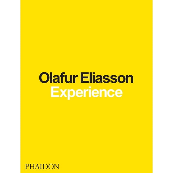 Experience (Hardcover)