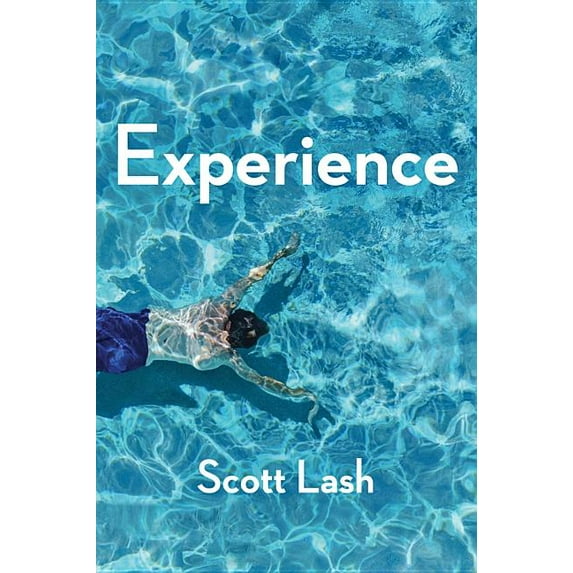 Experience: New Foundations for the Human Sciences (Paperback)