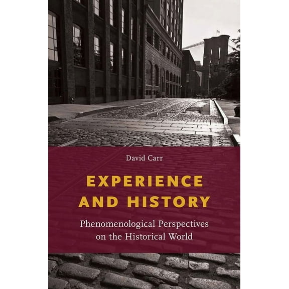 Experience and History: Phenomenological Perspectives on the Historical World, (Hardcover)