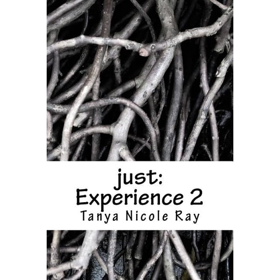 Experience: just: Experience 2 (Paperback)