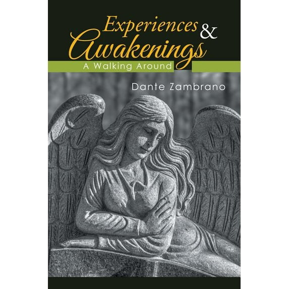 Experiences & Awakenings: A Walking Around (Paperback)