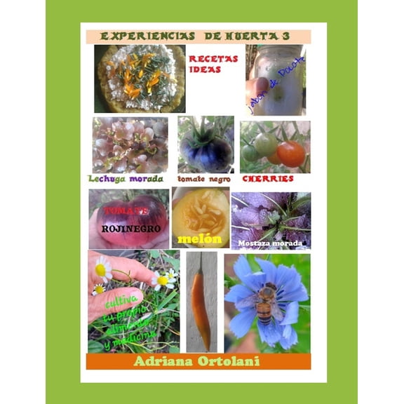 Experiencias de Huerta_ 3, (Paperback)