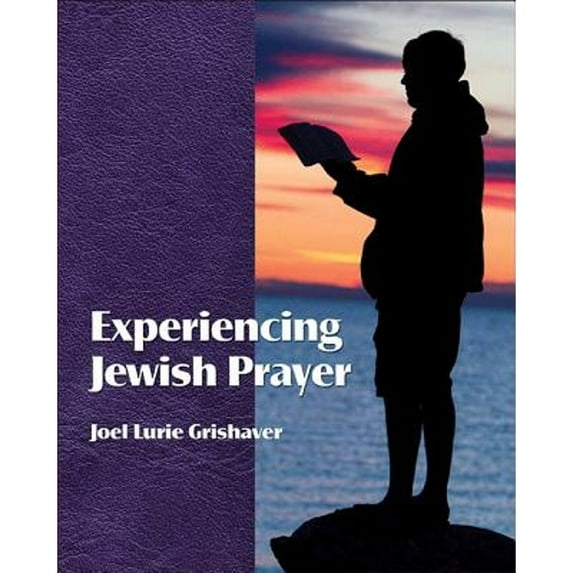 Pre-Owned Experiencing Jewish Prayer (Paperback) 193452767X 9781934527672