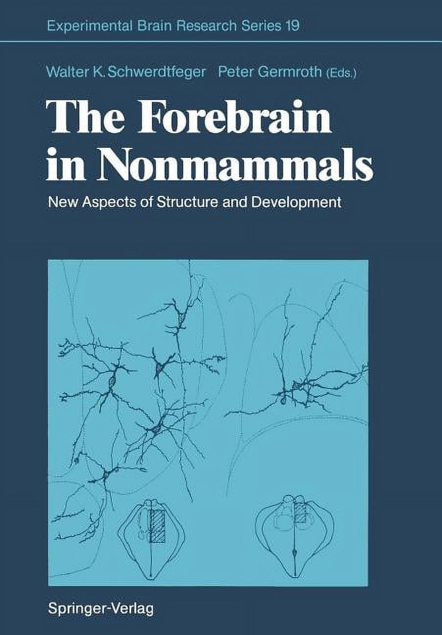 Experimental Brain Research The Forebrain in Nonmammals: New Aspects of ...