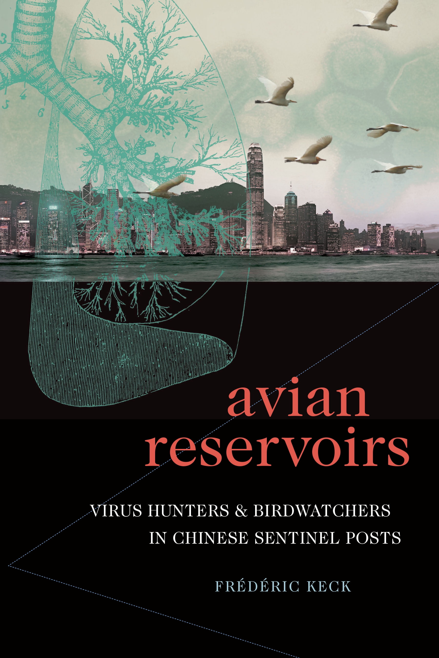 Experimental Futures: Avian Reservoirs : Virus Hunters and Birdwatchers in Chinese Sentinel Posts (Paperback)