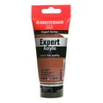 thumbnail image 1 of Expert Acrylic Tubes burnt sienna, 75 ml (pack of 3), 1 of 1
