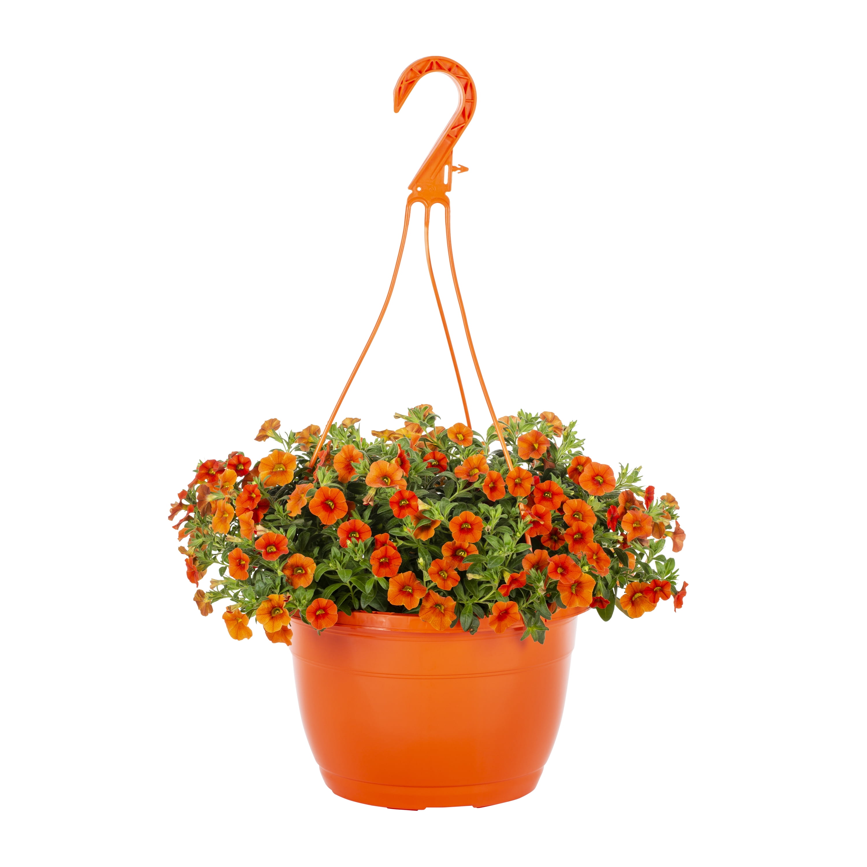 Expert Gardener 1.5gal Orange Calibrachoa Live Annual Plant Hanging Basket Sun