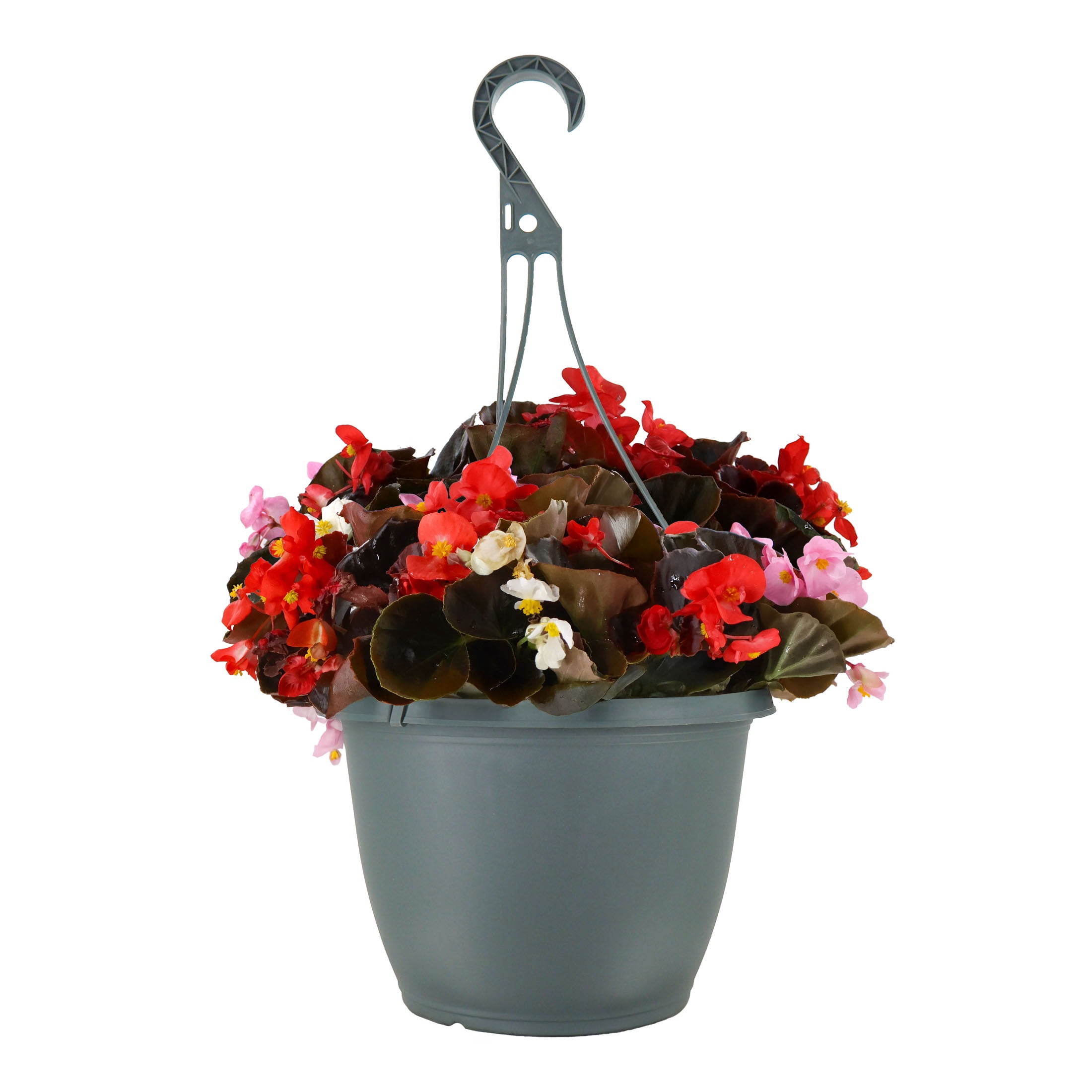 floor hanging plant stand Crescent Plant Stand main image 1